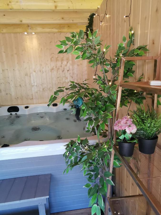 Domaine Lvd Avec Spa, Bois Et Riviere Privee La Bloutiere Ngoại thất bức ảnh